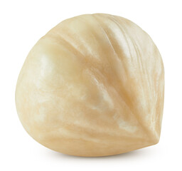Hazelnut isolated on white background