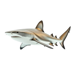 Naklejka premium Angled view full body shot of an extremely perfect looking single reef shark isolated on a white transparent background