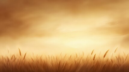 Fototapeta premium Golden wheat field at dusk rural landscape photography soft silhouettes tranquil environment nature's beauty