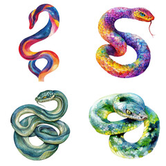 Watercolor snakes illustrations artistic gallery vibrant colors nature close-up unique translate background