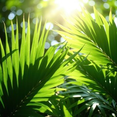 tropical background featuring large green palm leaves overlapping each other, with sunlight streaming through.