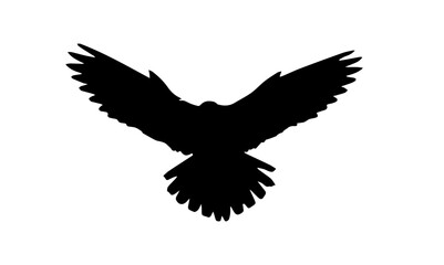 large bird black siluet on a white background birds,