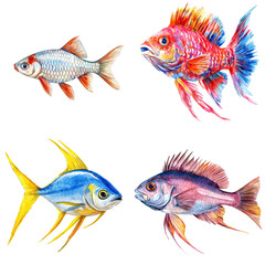 Naklejka premium Vibrant watercolor fish illustrations aquatic environment art showcase colorful background creative viewpoint translate background