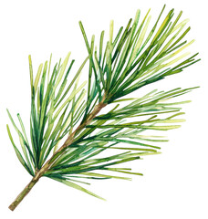 Fototapeta premium Watercolor pine branch natural environment artistic background botanical concept