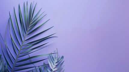 Fototapeta premium The Blue-purple Background of Palm Sunday: Interpretation of Culture and Spirit behind the Color in the Religious Holy Realm