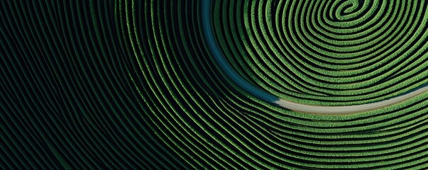 Top-down perspective of a rural road curving through cultivated farmland, deep green crops forming abstract circular patterns, serene nature view