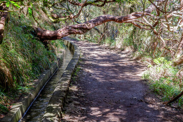 Hiking path along the historic levadas on the Levada das 25 Fontes hike on Madeira, Portugal.