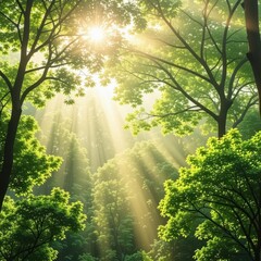 Fototapeta premium A serene background capturing a dense forest canopy with golden sunlight filtering through lush green leaves