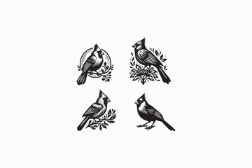 A Cardinal bird vector silhouette black and white image made by adobe illustrator..eps
