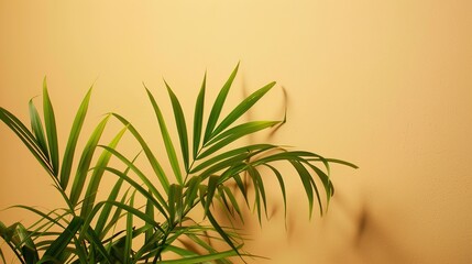 Obraz premium The Plant Background of Palm Sunday: An Exploration of the Culture and Symbols of Natural Imprints in the Religious Festival