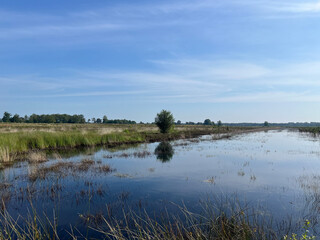 Wedlands in Appelscha