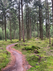 MTB track at Gasselte - Gieten in Drenthe