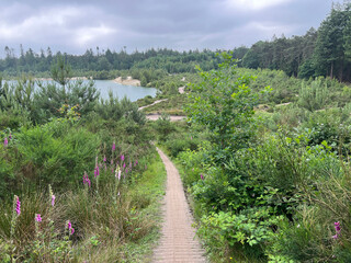 Obraz premium MTB track at Gasselte - Gieten in Drenthe