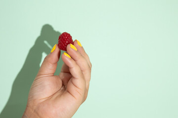 Female hand holding a red raspberry with her fingers on a light green background. Small fruit made up of polydrupes and tiny seeds inside