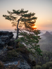 Where You find yourself - Wo du selbst findest