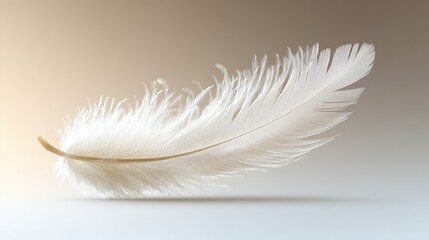 Obraz premium white feather isolated on transparent background high quality png