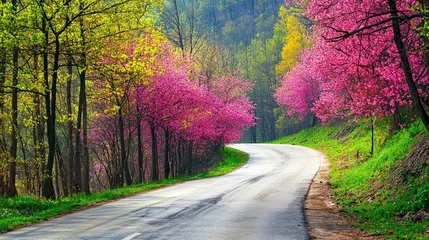 Fototapete Spring road landscape in beautiful nature travel, spring colors in mountain road scenery © eartist85
