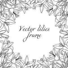 Frame of vector outline lilies for design flowers shop.