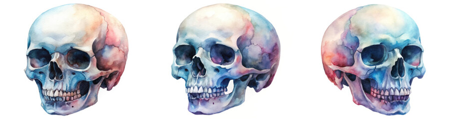 Obraz premium Watercolor skull illustration, artistic anatomy study, colorful design, educational purpose, medical art, creative expression.