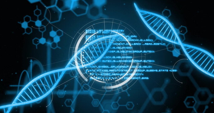Image of digital data processing with scope scanning over dna strands on black background - Powered by Adobe