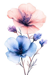 watercolor decoration elements isolated flowers, mothers day