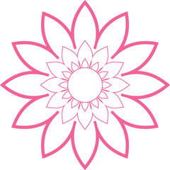 pink lotus flower