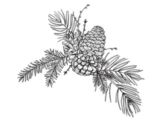 Pine forest bouquet composition vector