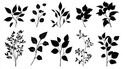 Black silhouettes of various leaves and branches on white background, ideal for design elements