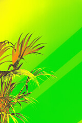 Vibrant neon palm leaves glowing in green lime and yellow acid colors futuristic lighting. A stylish and modern botanical concept with a cyberpunk aesthetic. Great for backgrounds, wallpapers.