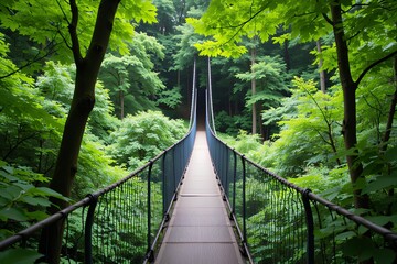 Fototapeta premium Serene Suspension Bridge Walkway in Lush Green Forest Canopy