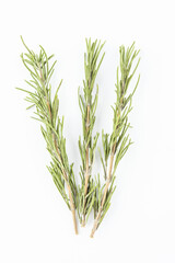 Dried spice rosemary on white background