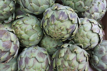 Obraz premium Artichauts crus violets et verts
