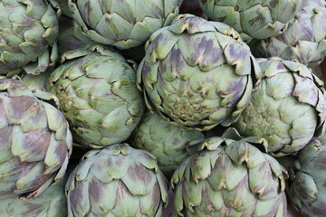 Fototapeta premium Artichauts crus violets et verts
