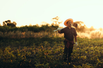 A cassava farmer holds a hoe and stands in the middle of his field during sunset. © Charnchai saeheng