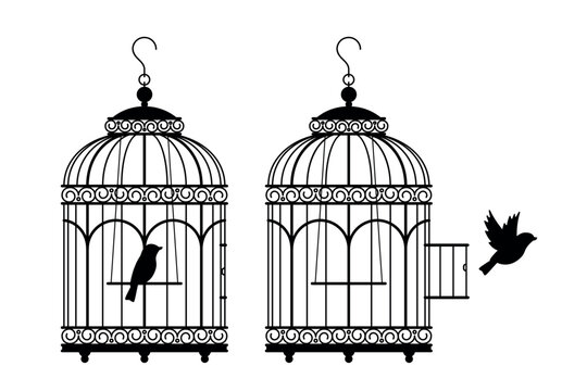 Bird in cage and canary flying out cage. Black silhouettes. Antique, classic house for parrot. Retro birdcage escape and freedom symbol. Decorative element. Vector isolated concept