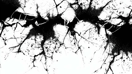 Obraz premium Black Ink Splash Texture White Background Design Element Decor