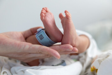 new born baby feet hold mother's hand with blurred QR Code of identity tag. concept : Premature or preterm baby in hospital. relationship between mother and baby.