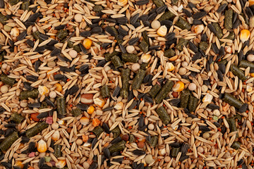 Balanced dry food for small rodents, birds and other pets, close-up. Grains, dried fruits, corn, cereals, compressed meadow grasses and sunflower seeds significantly enrich diet of animals