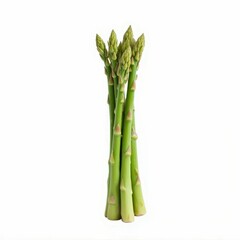 Bunch of Fresh Green Asparagus Spears Isolated on White Background in Studio for Cooking Preparation