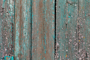 Damaged wood texture, close up. Old tree, wooden plank background, textured image. Old board. Lumber, forestry.