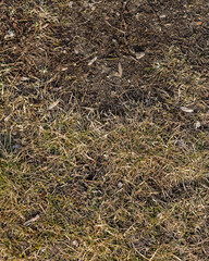 Top view of soil texture. Earth background, dirty hard clay. Barren field, drought. Field problems, dry terrain