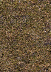 Top view of soil texture. Earth background, dirty hard clay. Barren field, drought. Field problems, dry terrain