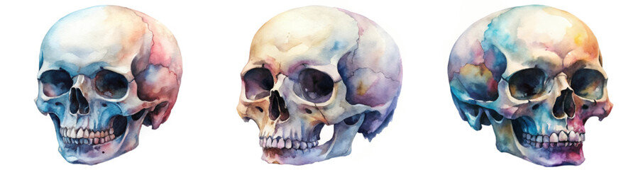 Obraz premium Watercolor skull illustrations, colorful artistic style, anatomical design, educational purposes, creative art display.