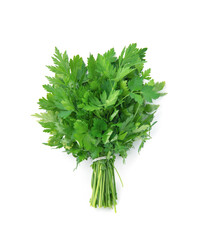 Fresh green parsley bunch on white background.