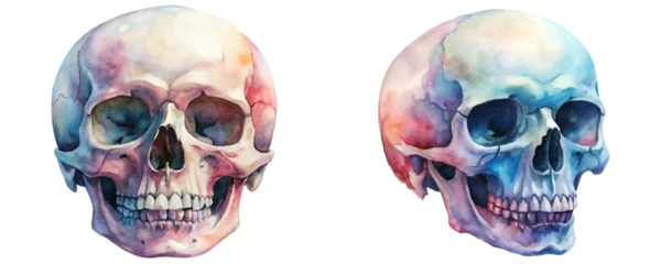 Watercolor skull illustrations, vibrant colors, artistic rendering, anatomical study, educational purpose, creative art, medical illustration.
