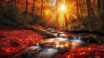 Autumn stream, forest sunlight, red leaves, nature scene, fall wallpaper