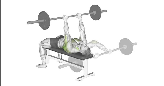barbell pullover anatomy exercise motion graphic muscle highlight workout fitness illustration video uhd 4k
