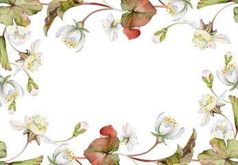 Fototapeta premium Spring flowers with leaves, white forest cloudberry apple cherry sakura anemone primrose ephemera, hand drawn in watercolor. Border frame isolated illustration, for wedding, florist shop, scrapbooking