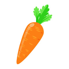 carrot