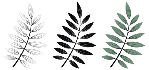 Obraz premium Leaf Vector. Delicate leaves line art. Nature inspired, Detailed, and versatile illustration for greenery, Eco, and botanical organic project. Fully scalable and customizable for print and digital.